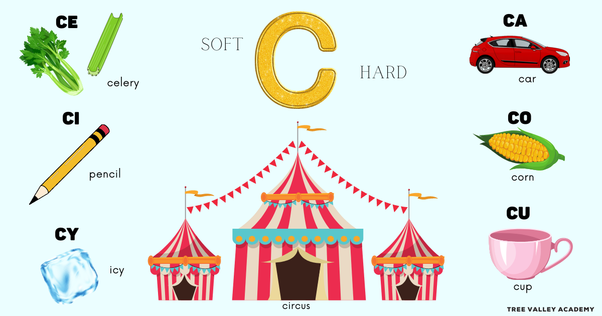 Hard C Soft C Words