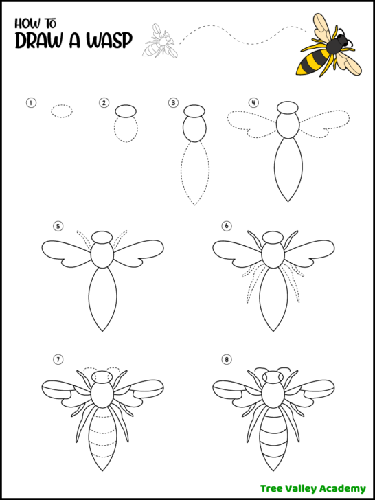 How to Draw A Wasp - Tree Valley Academy